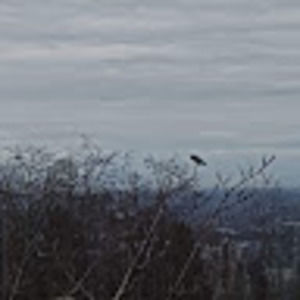 Meet your Posher, Nafas